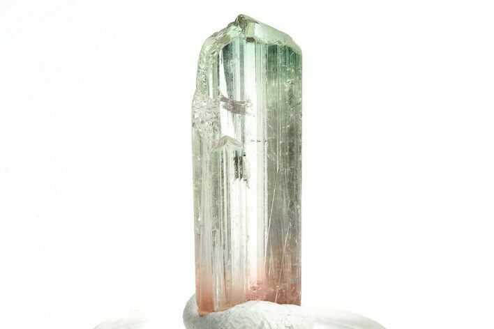 Bi-Colored Elbaite Tourmaline Crystal - Rubaya, Congo #206894